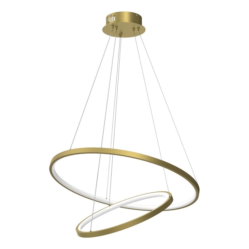 LED Chandelier on a string HOOP LED/51W/230V d. 60 cm 4000K gold