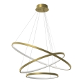 LED Chandelier on a string HOOP LED/93W/230V d. 80 cm 4000K gold