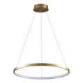 LED Chandelier on a string LEA LED/20W/230V 4000K d. 50 cm gold