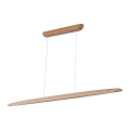 LED Chandelier on a string LED/22W/230V 4000K 130 cm beech/solid wood