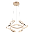 LED Chandelier on a string LED/24W/230V 3000K 50x120 cm