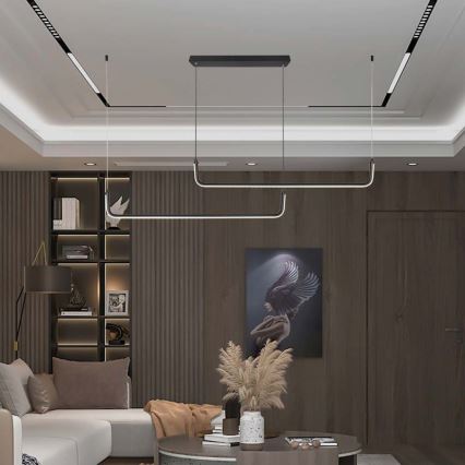 LED Chandelier on a string LED/24W/230V 4000K black