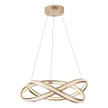 LED Chandelier on a string LED/38W/230V 3000K 50x120 cm