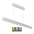 LED Chandelier on a string LED/40W/230V 3000/4000/6400K white