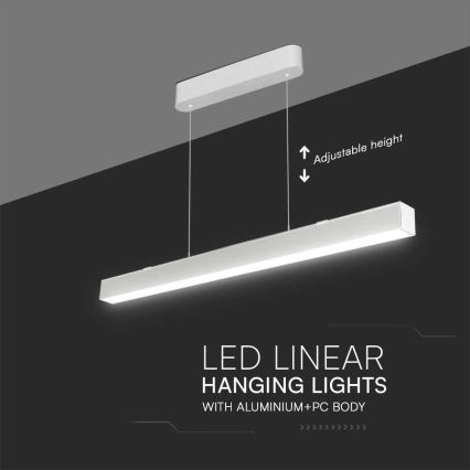 LED Chandelier on a string LED/40W/230V 3000/4000/6400K white