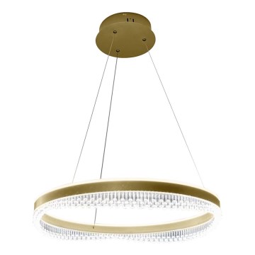 LED Chandelier on a string LED/52W/230V d. 60 cm gold