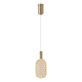 LED Chandelier on a string LED/6,3W/230V 3000K gold d. 20 cm