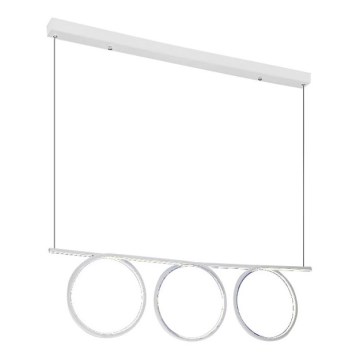 LED chandelier on a string LOOP 3xLED/20W/230V white