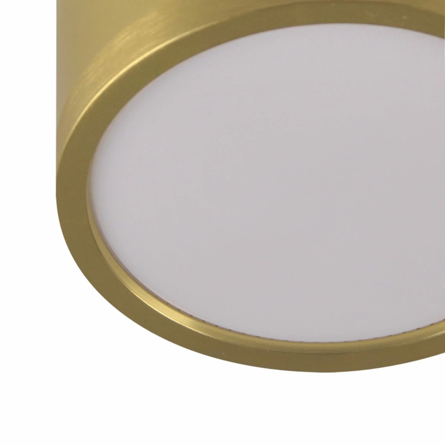 LED Chandelier on a string MIRELLA 3xGX53/6W/230V gold/black