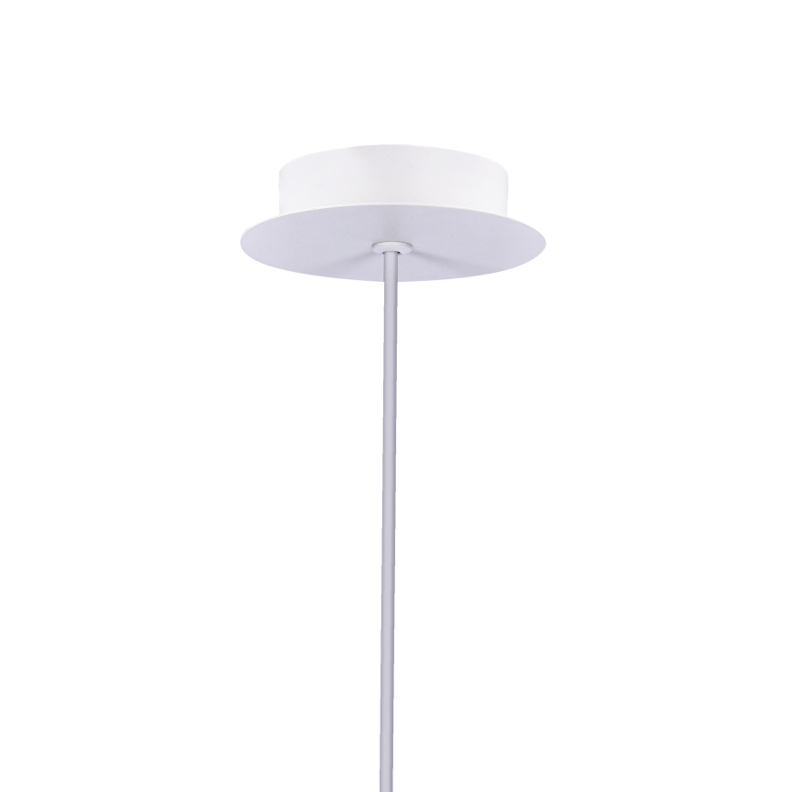 LED Chandelier on a string MODENA LED/5W/230V