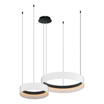 LED Chandelier on a string ORBITA LED/72W/230V white/black