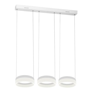 LED Chandelier on a string RING 3xLED/12W/230V