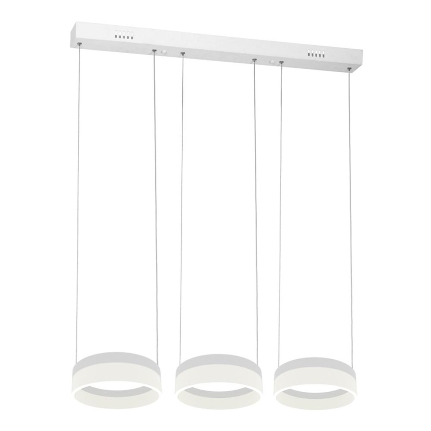 LED Chandelier on a string RING 3xLED/12W/230V
