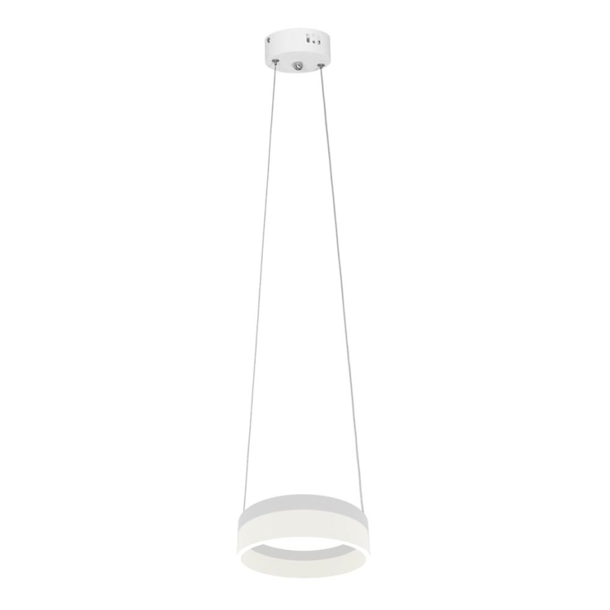 LED Chandelier on a string RING LED/12W/230V