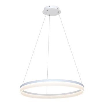 LED chandelier on a string RING LED/36W/230V