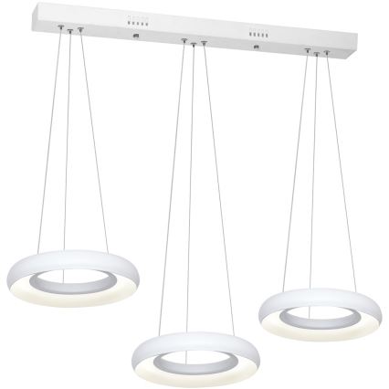 LED chandelier on a string RONDO 3xLED/12W/230V