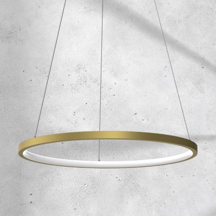 LED Chandelier on a string ROTONDA LED/27W/230V gold
