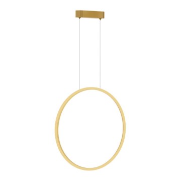LED Chandelier on a string SATURNO LED/28W/230V d. 50 cm IP44 gold