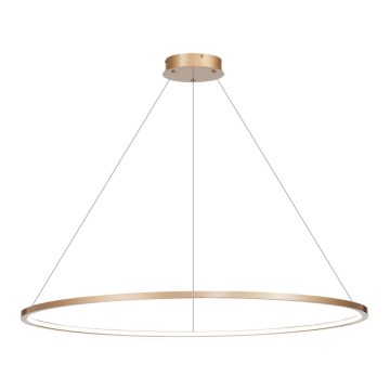 LED Chandelier on a string SATURNO LED/65W/230V d. 120 cm IP44 gold