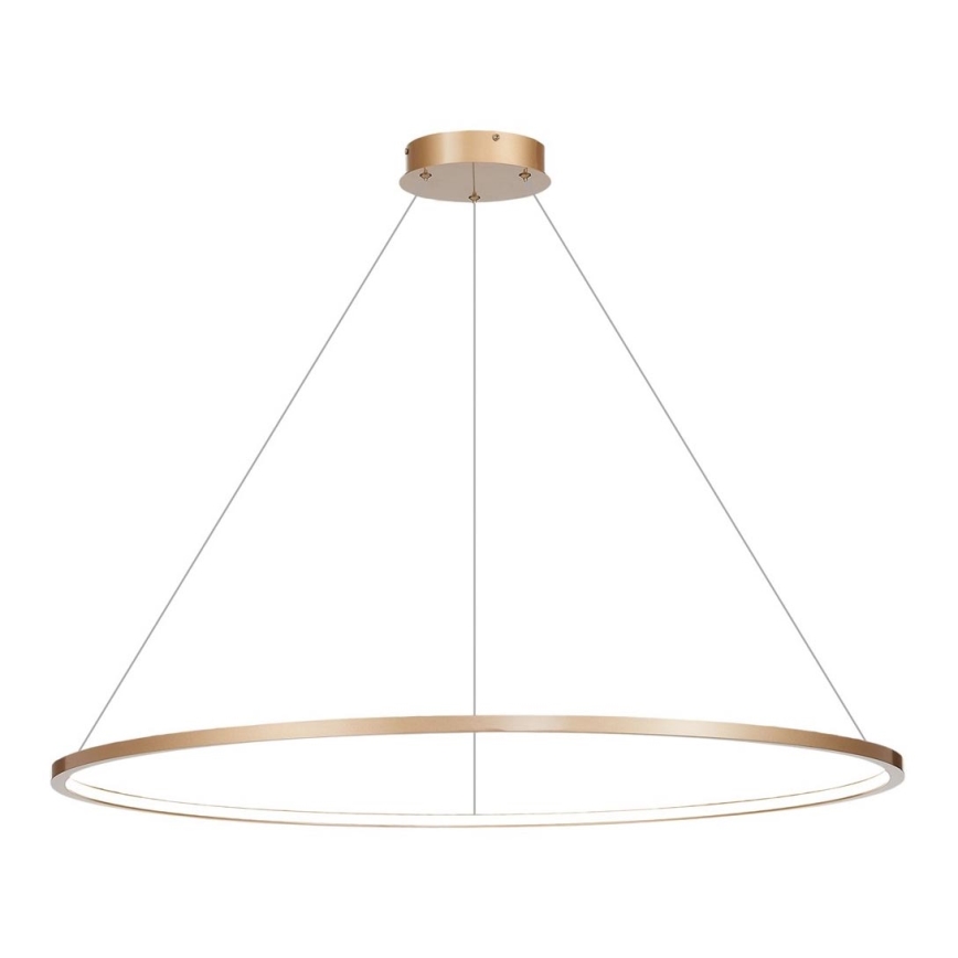 LED Chandelier on a string SATURNO LED/65W/230V d. 120 cm IP44 gold