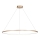 LED Chandelier on a string SATURNO LED/65W/230V d. 120 cm IP44 gold