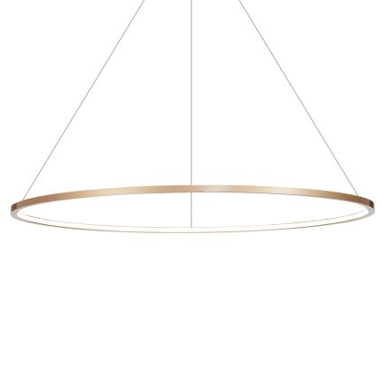 LED Chandelier on a string SATURNO LED/65W/230V d. 120 cm IP44 gold