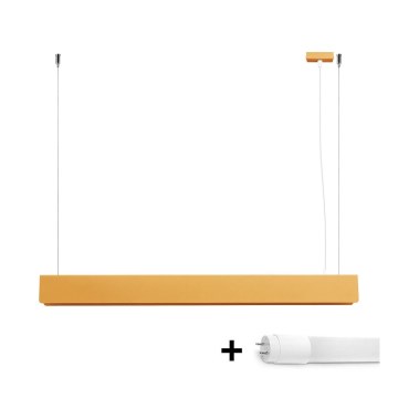 LED Chandelier on a string SPARK 1xG13/8,5W/230V gold