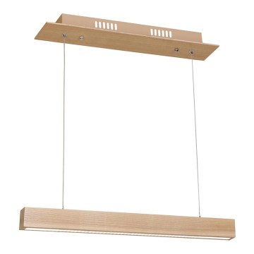 LED chandelier on a string TIMBER LED/12W/230V