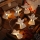 LED Christmas chain 10xLED/2xAA/warm white 2m angels