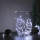 LED Christmas chain 50xLED/3xAA 5,25m cool white
