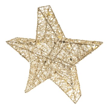 LED Christmas decoration 20xLED/2xAA warm white