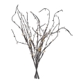 LED Christmas decoration 24xLED/3xAA