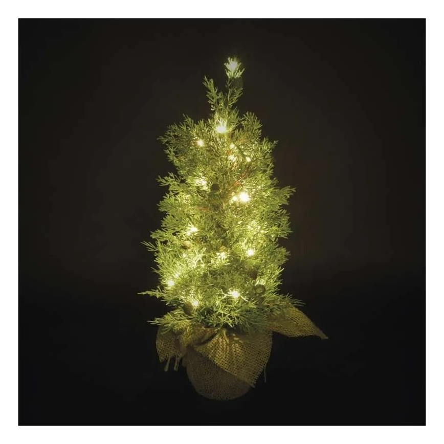 LED Christmas Decoration 30xLED/3xAA IP44