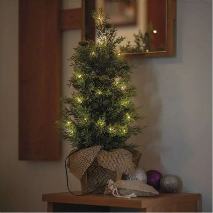 LED Christmas Decoration 30xLED/3xAA IP44