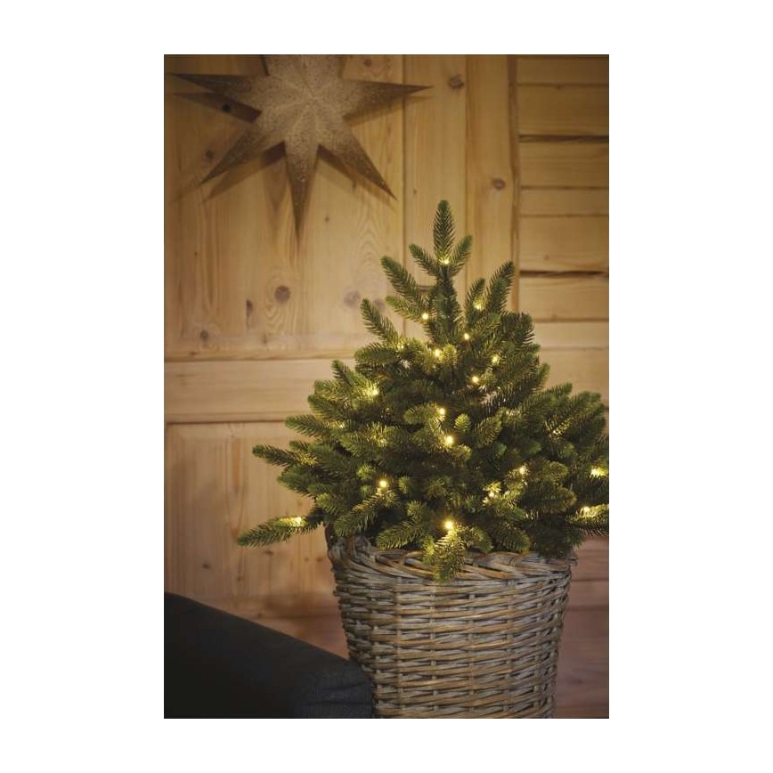 LED Christmas decoration 40xLED/3xAA