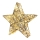 LED Christmas decoration LED/2xAA star
