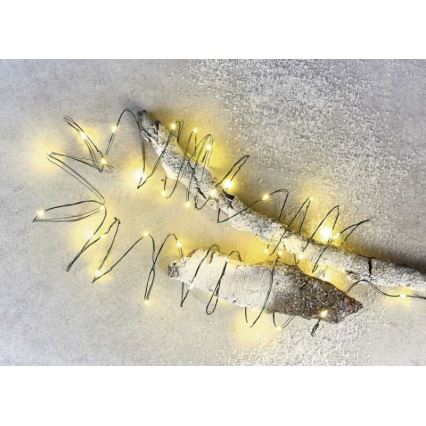 LED Christmas outdoor chain 40xLED/9m IP44 warm white