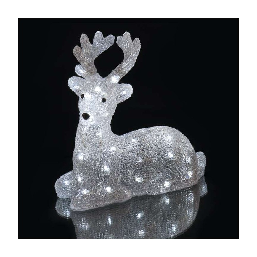 LED Christmas outdoor decoration 40xLED/2,1W/230V IP44 deer