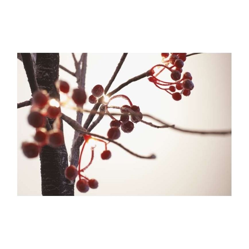 LED Christmas outdoor decoration 48xLED/3,6W/230V IP44