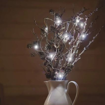 LED Christmas string lights 20xLED/2xAA 2.4m cool white