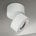 LED Dimmable bathroom spotlight HARVEY LED/15W/230V IP65 white