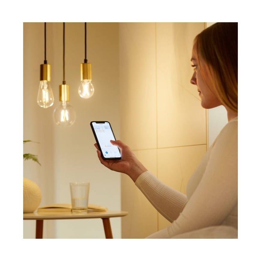 LED Dimmable bulb FILAMENT A60 E27/6,7W/230V 2700-6500K CRI 90 Wi-Fi - WiZ