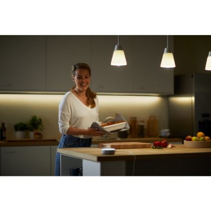 LED Dimmable bulb A60 E27/8W/230V 2700K CRI 90 Wi-Fi - WiZ