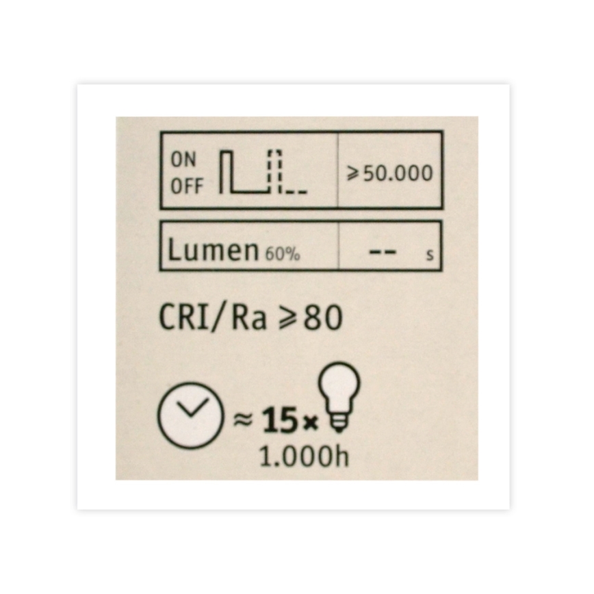 LED Dimmable bulb CLASSIC G125 E27/4,5W/230V 2500K - Paulmann 28770