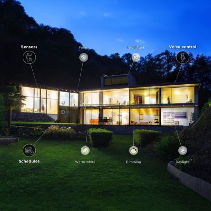 LED Dimmable bulb E27/15W/230V 2700-6500K Wi-Fi - WiZ