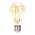 LED Dimmable bulb FILAMENT A60 E27/6W/230V 2200K - Aigostar