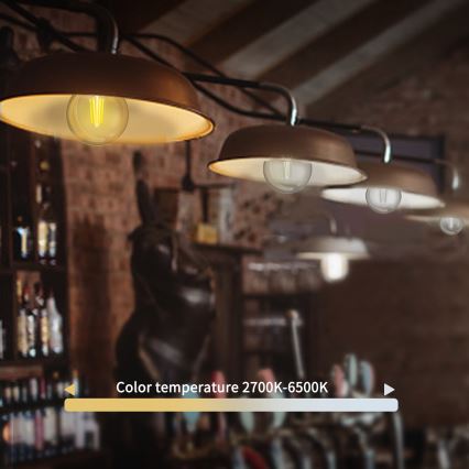 LED Dimmable bulb FILAMENT G45 E14/4,5W/230V 2700-6500K Wi-Fi - Aigostar