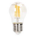LED Dimmable bulb FILAMENT G45 E27/4W/230V 2200K - Aigostar