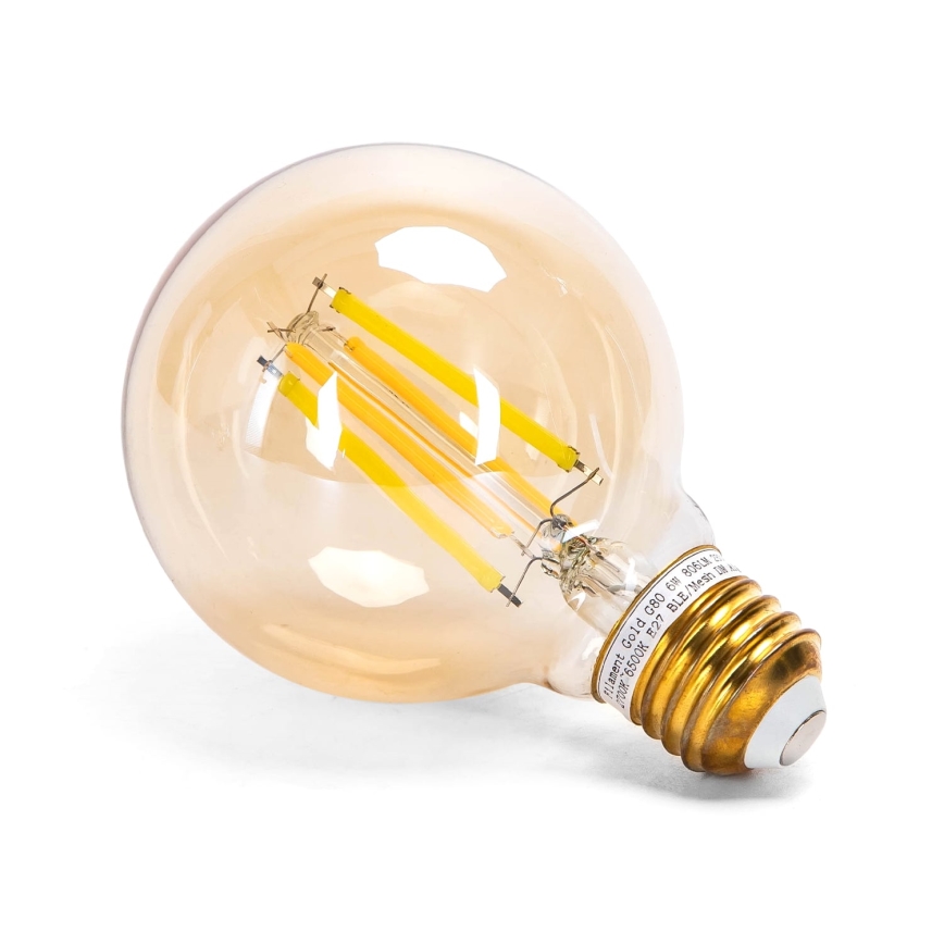 LED Dimmable bulb FILAMENT MESH Smart G80 E27/6W/230V 2700-6500K - Aigostar