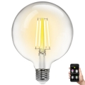 LED Dimmable bulb FILAMENT MESH Smart G125 E27/6W/230V 2700-6500K - Aigostar